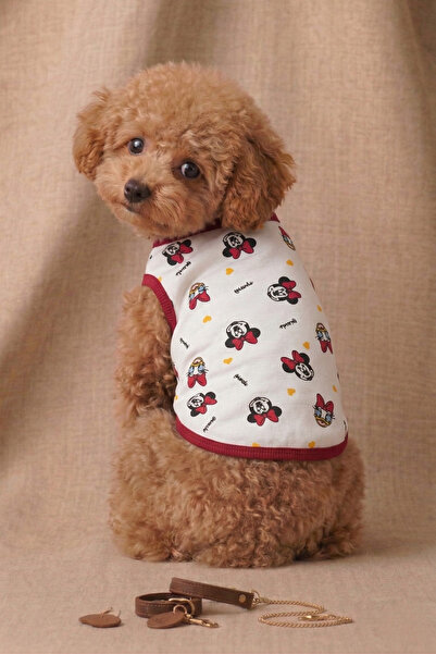 Patipin White Mickey Mouse Patterned Cotton Cat Dog T-Shirt
