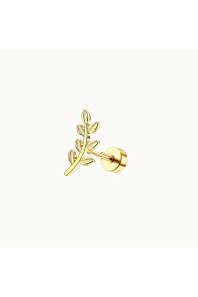 Choice S8-1pc-golden 1Pc 16G Stainless Steel Screw Back Stud Earrings for Wom...