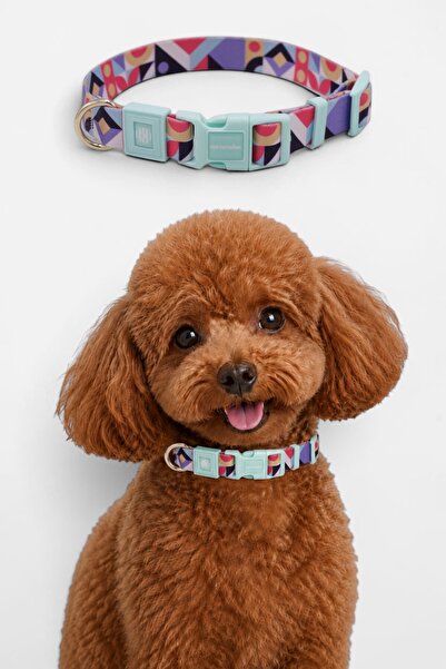 CARAMELOS Dog Collar-Dog Neck Collar- Small Breed Collar- Medium Breed Collar...