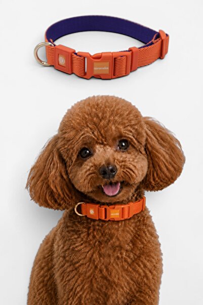 CARAMELOS Dog Collar-Dubble Knitted Fabric-Dog Neck Collar- Small Breed Colla...