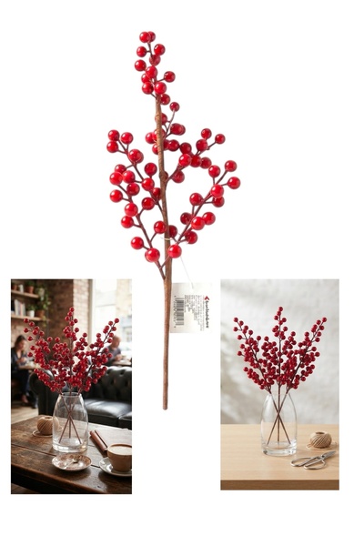 Yenigeldi Led Fairy Daylight + 2Pcs 50cm Christmas Kokina Red Cherry Stems Ch...