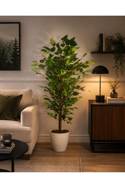 Cennet Home Botanica Liva – Yapay Benjamin Ağacı 100 cm Beyaz Yakut Saksıda