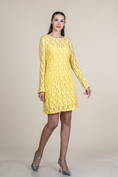 MissVina Rochie mini cu mânecă lungă, cu dantelă din tul galben, pentru femei...