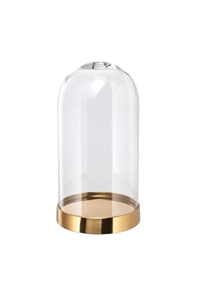 Generic BEGAVNING Glass dome with base
