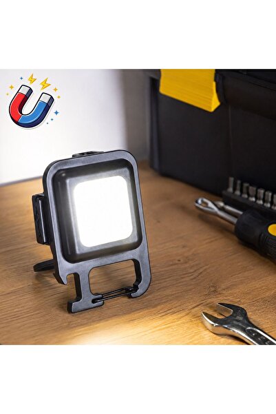 Zâna Casei RECHARGEABLE SAFETY FLASHLIGHT