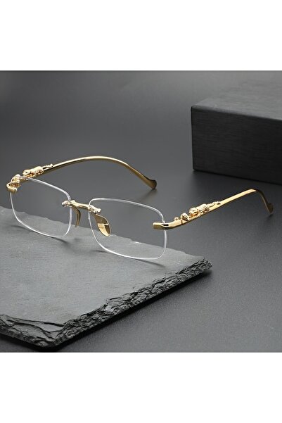 Choice1 transparent Perfect Fashion Leopard Decor Unframed Men's and Women's ...