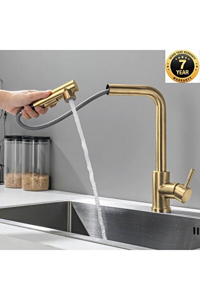 OEM Kitchen Sink Faucet with 2-Function Sprinkler Head and Spiral, Matte Gold...