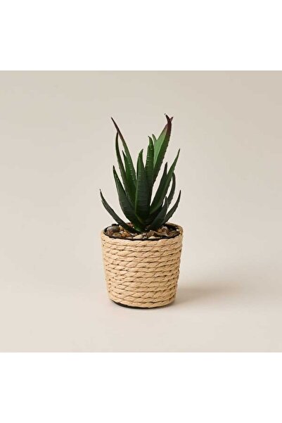 Evidea Deco Hasır Saksı Yapay Aloe Vera - Bej / Yeşil - 14x6 cm