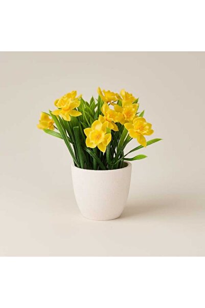 Evidea Deco Saksılı Nergis - Sarı - 20 cm