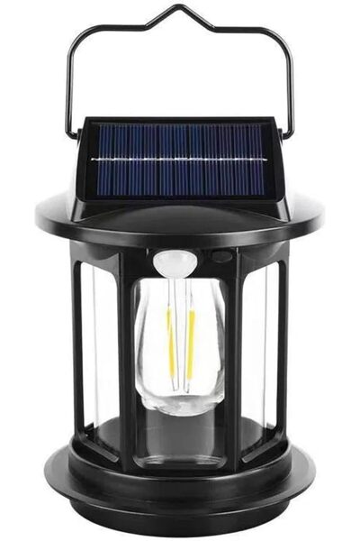 GENERAL Solar-Powered Lights with Motion Sensor, Outdoor Hanging Lights, Wate...