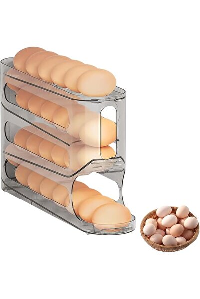 GENERAL Egg Holder for Refrigerator, Egg Storage Box for Fridge, Space-Saving...