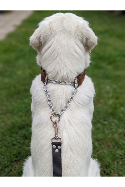 balkonda Dog Collar Adjustable Medium, Large and Extra Large Breed Leather Si...