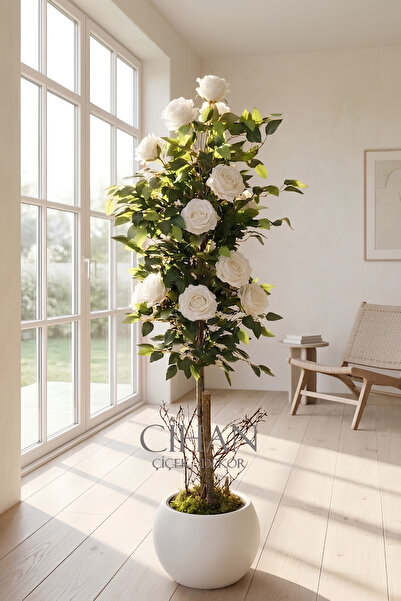 Cihan Çiçekçilik Yapay 10 Güllü Beyaz Gül Ağacı 150 cm 27x33 Beyaz Küre Saksılı