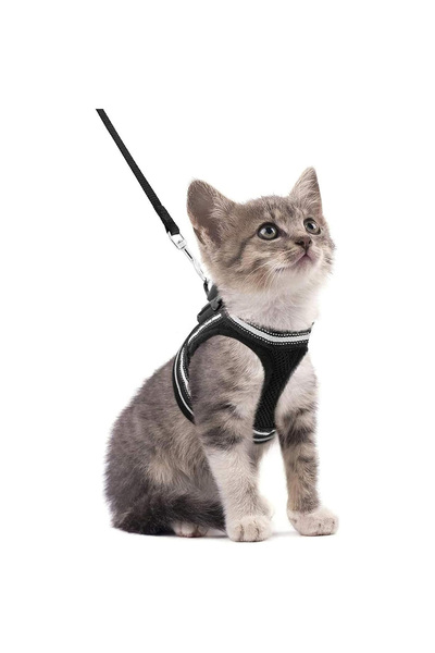 Choice4 S black Cat Harness and Leash Set for Walking Escape Proof, Adjustabl...