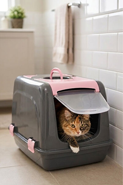 Petozi Kapalı Kedi Tuvaleti Antrasit Gövde Ant-Pembe