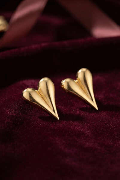 online kapsulavm avm alışveriş 316L Steel Gold Color Heart Model Earrings