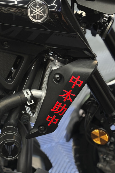 Banxtre Side Radiator Cover Top Japanese Text Sticker (Right and Left) for Ya...