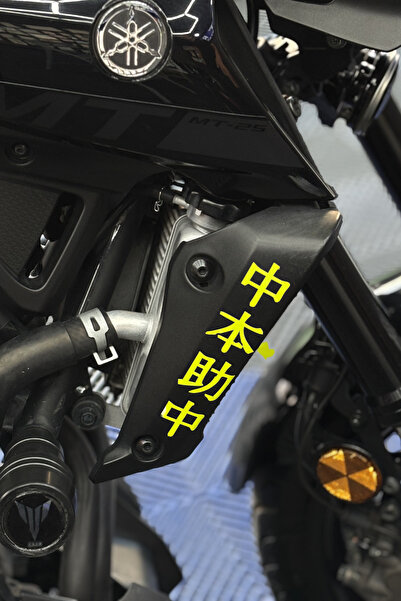 Banxtre Side Radiator Cover Top Japanese Text Sticker (Right and Left) for Ya...