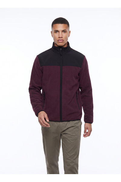 Discovery Expedition D6WM-SWT3746 Mor Dik Yaka Jakarlı Erkek Polar Sweatshırt