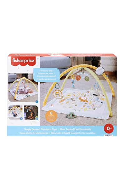 mattel FISHER PRICE SALTELUTA DE GIMNASTICA PENTRU NOU NASCUTI