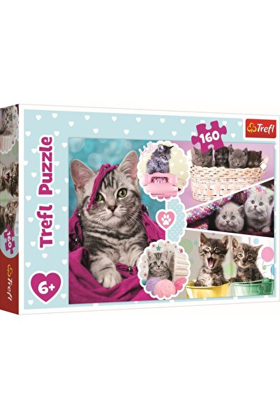 Trefl PUZZLE 160 PISICI DRAGALASE