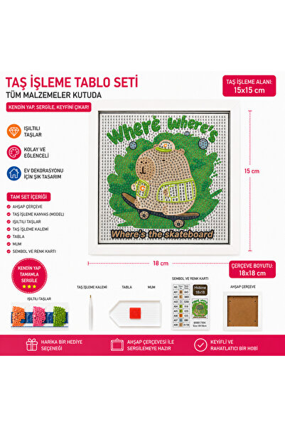 iğne izi 5D Diamond Stone Embroidery Painting Set with Capybara Pattern 18X18...