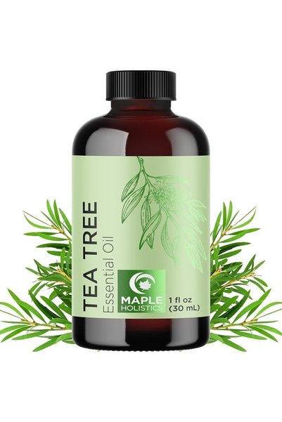 Maple Holistics زيت إكليل الجبل النقي لنمو الشعر - زيت إكليل الجبل العطري غير...