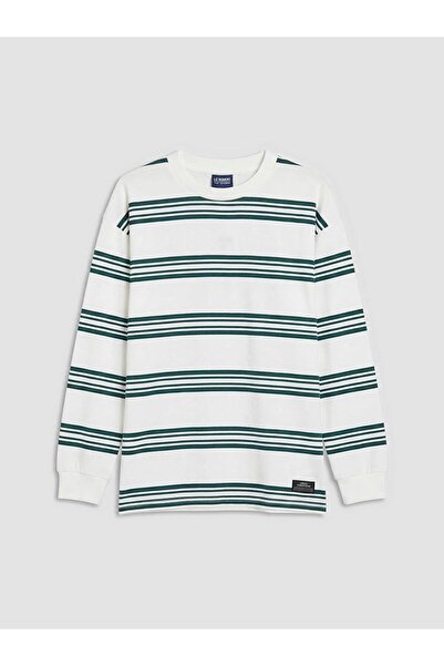 LC Waikiki Crew Neck Striped Long Sleeve Boys' T-Shirt (W6)