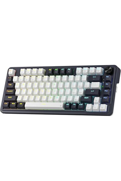 GENERAL Redragon Usb-C Wireless Wired Keyboard K649 Pro Rgb Backlit Transpare...