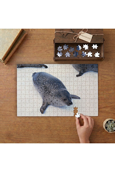 puntodizayn Bayağı Fok Balığı Tasarımı 240 Parça Ahşap Puzzle Ahşap Kutuda MP...