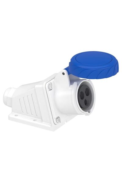 Generic Schneider Electric PratiKa Angled Industrial Socket, 16A, 2P+E, 200-2...