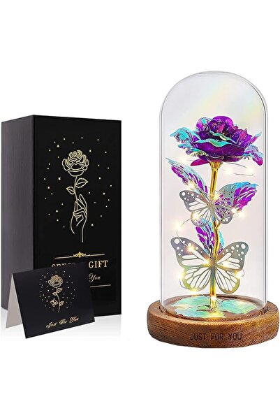 GENERAL Dhp Tech Colorful Artificial Rose Butterfly Flower in Glass Dome Led ...
