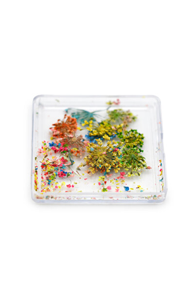 global fashion Nail decoration, dried flowers D26