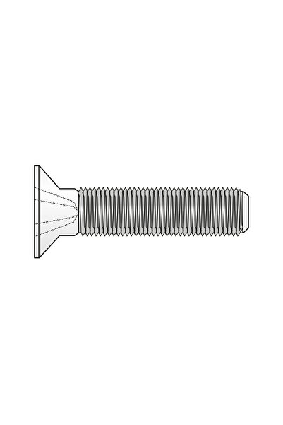 Rocast Set 250 x Surub Cap Inecat Locas Cruciform 965 Otel Gr.4.8 Zincat-M6 x 55