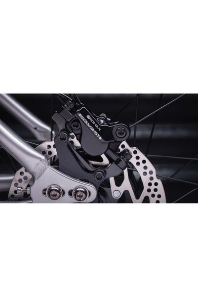 EARLY RIDER Kids' Bike Seeker X16 Brushed Aluminium 16"