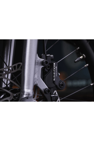 EARLY RIDER Kids' Bike Seeker Brushed Aluminium 24"