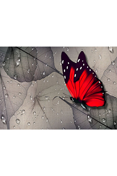 VIODESIGN Fototapet abstract, autoadeziv, Fluture, multicolor, 120x200 cm AB149