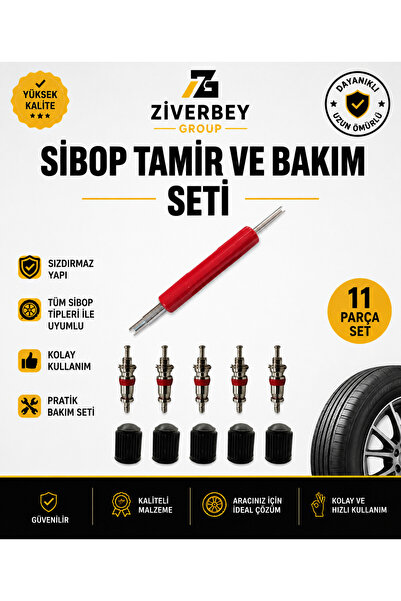 ZİVERBEY Sibop Tamir ve Bakım Seti 11 Parça – Çift Taraflı Sibop Sökme Takma ...