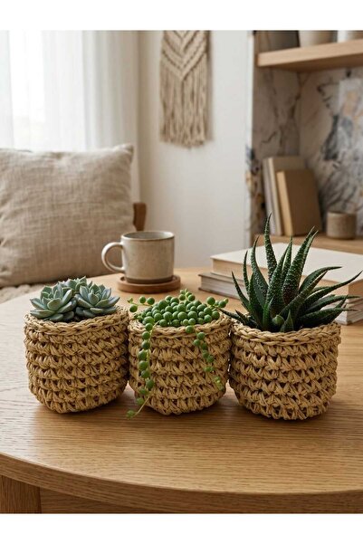 Eylül Deniz Handmade 3' lü Mini Hasır Sepetler, Dekoratif, Doğal Görünümlü, S...