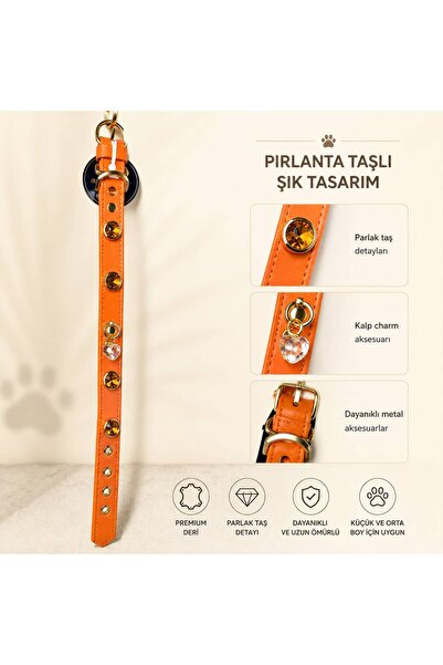 STYLE DOG KÖPEK BOYUN TASMASI