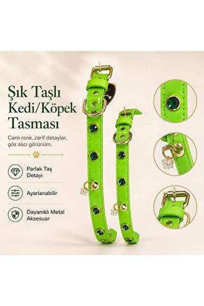 STYLE DOG KÖPEK BOYUN TASMASI