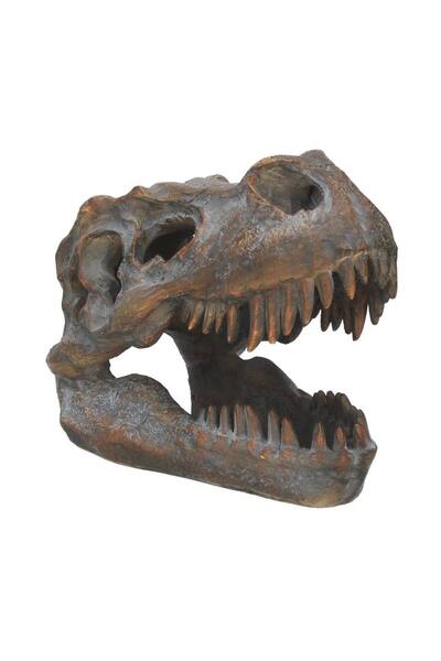 Nemesis Now : Tyrannosaurus – Rex Skull Freestanding (16cm) (D1245D5)