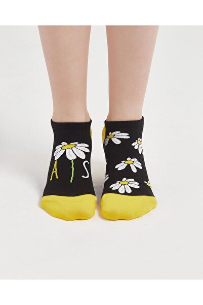 Bolero Daisy Patterned Black Women's Different Short Booties Ankle Socks
