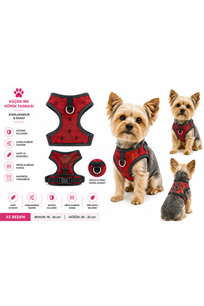 Baron Pet Küçük Irk Köpek Göğüs Tasması Pati Desenli Ayarlanabilir - Kırmızı ...