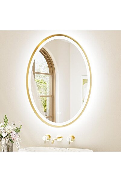 GENERAL Oval Bathroom Mirror with Front and Rear Led Lighting, 3 Color Temper...