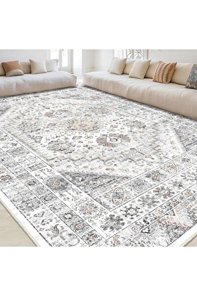 Winsoyya Classic Area Rug for Living Room- Soft, Washable Traditional Orienta...