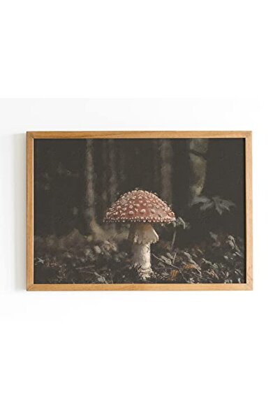 ALAYRA International ALAYRA Vintage Mushroom Canvas Wall Art Outer Frame 60x8...