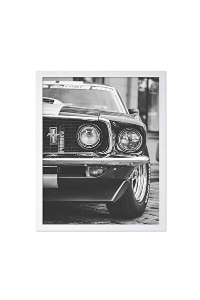ALAYRA International Signtouch Classic Vehicle Automotive Display Wall Art Wh...