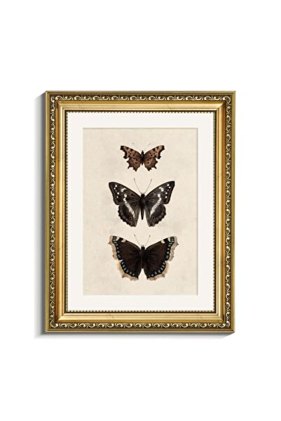 ALAYRA International Signtouch Vintage Butterfly Illustration Farmhouse Wall ...
