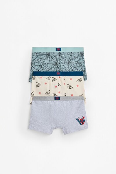 LEFTIES Spiderman ©Marvel boxer (3'lü paket)